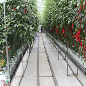 <span class=keywords><strong>Serre</strong></span> en <span class=keywords><strong>plaque</strong></span> PC pour l'agriculture, pour la culture hydroponique <span class=keywords><strong>de</strong></span> tomates, concombres et fraises, fournisseurs <span class=keywords><strong>de</strong></span> serres - Product Image 5