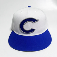 Topi Baseball Bordir Logo Huruf 3D Warna Putih Akrilik Kustom Grosir, Bahan Polyester/Katun, Snapback Sporty, Ukuran Dapat Disesuaikan