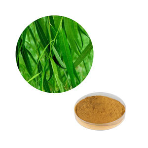 Pasokan pabrik Hongda ekstrak kulit Dedalu putih kualitas tinggi 98% salenin ekstrak kulit <span class=keywords><strong>Willow</strong></span> putih - Product Image 1