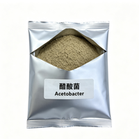 Poudre d'Acetobacter 10 milliards UFC/g, Culture de bactéries acétiques, Levure de vinaigre, Fermentation industrielle du vinaigre acétique alimentaire
