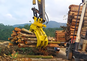 Grappins en acier hydrauliques professionnels personnalisés bon <span class=keywords><strong>prix</strong></span> pour l'usine directe de démontage en bois de pierre de <span class=keywords><strong>ferraille</strong></span>-Personnalisé - Product Image 6