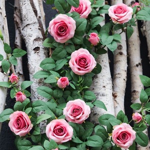 Artificial Rose Vines Silk Flower Garland For <b>Wedding</b> <b>Arch</b> Wall Decoration Japanese Vintage Style - Product Image 2