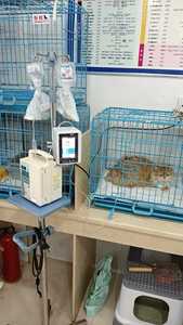 Portable Multi-function Infusion <b>Pump</b> Automatic Set Vet Veterinary Infusion <b>Pump</b> - Product Image 4