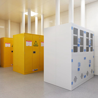 Ensemble de mobilier de laboratoire universitaire : bancs de laboratoire, armoires et hotte à fumée tout en acier pour les projets d'infrastructure scientifique des universités