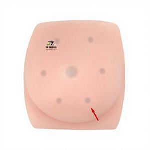 Modèle de mannequin d'échographie grandeur nature pour l'enseignement et la formation à la ponction de tumeur mammaire guidée par échographie, avec matériau PVC avancé - Product Image 1