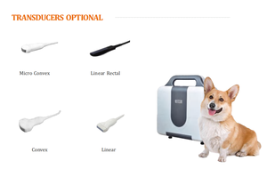 Appareil d'échographie portable noir et <span class=keywords><strong>blanc</strong></span> MR-N5 pour animaux de compagnie (chats, chiens, vaches) pour clinique vétérinaire - Product Image 4