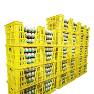 الدجاج الطليقة معدات للمزارع الدجاج البيض الزراعة سلسلة تغذية نظام
