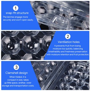 Caja Plegable Transparente para Frutas, Fabricada con PET Reciclable de Grado Alimenticio, con Logotipo Personalizado para la Marca - Product Image 3