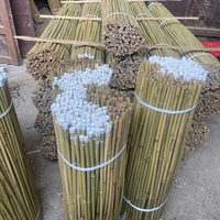 Bâtons de jardin en bambou écologiques du Vietnam pour la plantation extérieure, l'entraînement durable des cultures et l'aménagement agricole, longueur et diamètre personnalisables