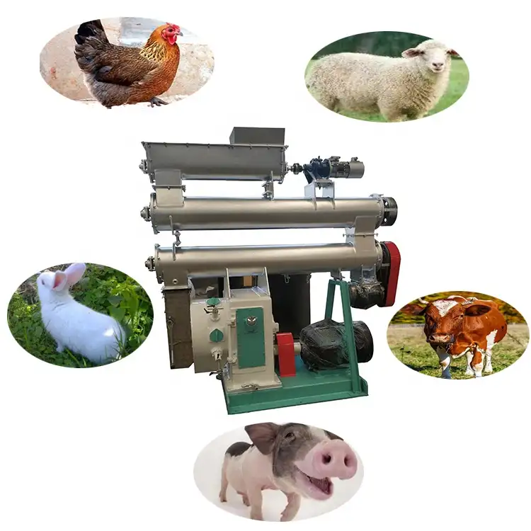 quality assurance granular poultry feed processing machine fish feed machine