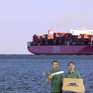 从中国到美国/英国/德国/欧洲/加拿大/日本的最佳FBA DDP门到门服务航空货运代理 - Product Image 4