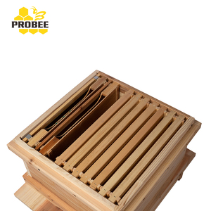 Bulk best price bee hive bee hive box/frames for sale