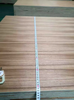 Contreplaqué de peuplier du Shandong de première qualité avec placage de pin, écologique E0, design moderne, décoration double face, usage intérieur