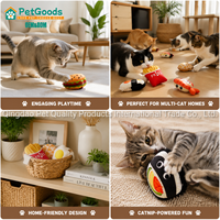Ensemble de jouets interactifs pour chat en peluche à la menthe, doux et respectueux de la peau, pour soulager l'ennui des chatons, vente en gros d'accessoires pour animaux de compagnie