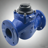 Medidor de Agua Vertical de Gran Capacidad de Hierro Fundido DN200 (Diseño en Seco) Personalizable y Apto para Aplicaciones de Ingeniería