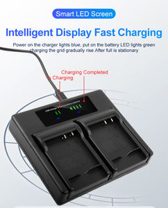 RingTeam-Cargador doble con luz LCD, cargador de batería BLG10 para cámaras Pana Sonic Lumix, GX7, GX80, GX85, Mark II, 2 uds., 2 unidades - Product Image 5