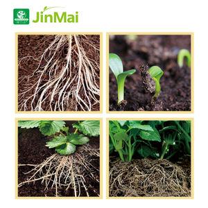 Высокая концентрация 150 г/л фульвовая кислота 170 г/л жидкая увлажнитель почвы гуминовой кислоты органическое удобрение 100% водорастворимое для - Product Image 5