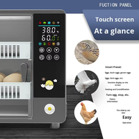 Incubateur automatique 50 mini-œufs 48 places, double alimentation, avec système d'apport d'eau, état neuf, pour œufs de canard