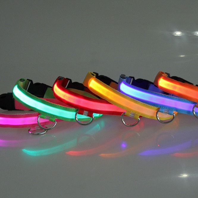 Luxury LED Dog Collar - Xunqianxi Model XQ153, Adjustable, Rechargeable, Reflective Pet Safety Colla