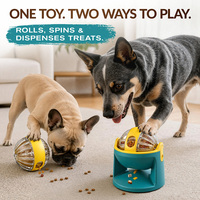 Offre Spéciale : Distributeur de friandises 2-en-1 pour chien, balle de puzzle anti-ennui pour animaux de compagnie