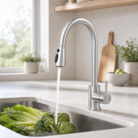 Robinet de cuisine extractible monocommande en acier inoxydable 201 de haute qualité - Robinet d'eau froide flexible en acier inoxydable 201 - En promotion