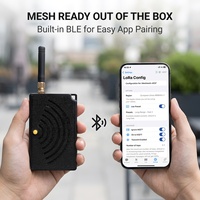 Kit de modules LoRa RAK 1W 30dbm, amplificateur de puissance élevée, dispositifs de réseau Meshcore Meshtastic, kits de produits