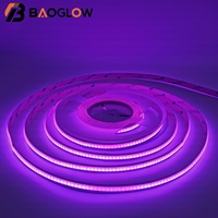 Bande LED COB 756 LED 768 LED/m sur PCB 10MM, Dimmable, Double Couleur, DC12V 24V, Bande LED Intelligente RGB pour Fêtes et Événements