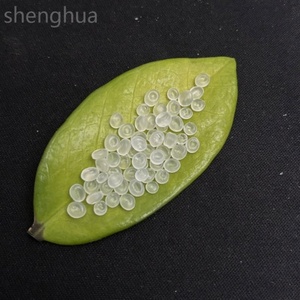 Alta calidad 100% virgen crudo PP polipropileno homopolímero nuevo virgen crudo 100% polipropileno PP gránulos moldeado en polvo - Product Image 1