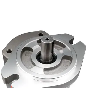 छोटे उच्च गति sgp hgp फोर्कलिफ्ट हाइड्रोलिक पंप sgp2b50l136 पंप गियर हाइड्रोलिक गियर पंप ट्रैक्टर के लिए हाइड्रोलिक गियर पंप - Product Image 4