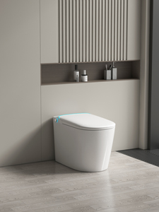Удлиненный электронный автоматический биде - Product Image 2