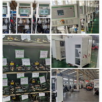 Dispensador de Gasolina y Diésel con 2 Boquillas, Producto Único, 220V, Medidor de Flujo con Precisión del 0.30% para Equipos de Gasolineras en Filipinas