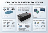 Paket Baterai Lithium LiFePO4 60V 65Ah Kapasitas Tinggi Daya Tahan Lama untuk Kendaraan Listrik, Golf Cart, Kendaraan Utilitas OEM ODM
