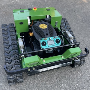 Tondeuse à gazon la moins chère certifiée CE, 500 mm, sur chenilles, adaptée à tous les terrains, Xet-500, moteur haute puissance pour une coupe efficace de l'herbe - Product Image 2