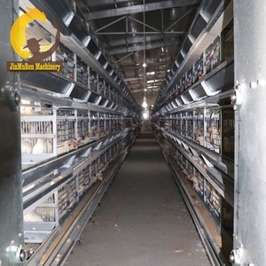 Jinmuren a type layer chicken fully automatic poultry <strong>farms</strong> 10000 15-20 years layer chickens farm <strong>bird</strong> cage - Product Image 5