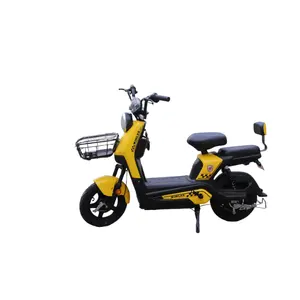 ebike battery 48v electric bicycle 750w two seat electric bike electric bicycle for adult electric city bike