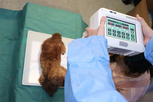 Macchina Radiografica Veterinaria Portatile a Batteria, Apparecchiatura <span class=keywords><strong>DR</strong></span> per Radiografie di Animali Domestici - Product Image 5