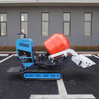 Neuer kostenloser Versand Mini-Raupendumper mit Diesel-/Benzinmotor, 13,5 PS, tragbarer 100° kippbarer Transporter/Muldenkipper
