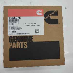 Para CUMMINS KTA KTA19 K19 K38 4955975 Juego de anillos de pistón Piezas de motor de maquinaria - Product Image 2