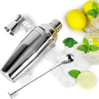 Ensemble de shakers à cocktails de luxe réutilisables en acier inoxydable avec doseur et cuillère de bar, logo personnalisé OEM, vente en gros directe usine