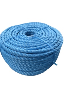 1/4 Inch 5/16 Inch 3/8 Inch 660 Meters Blue White Danline Jute Twist Eco-Friendly <b>Fishing</b> Rope 16mm 18mm Marine Philippines - Product Image 2