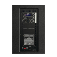 RQSONIC AC21 Système bois Haut-parleur actif Système de sonorisation PA Haut-parleurs professionnels Haut-parleur colonne actif