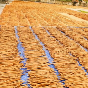 แท่งอบเชยธรรมชาติ กลิ่นหอม ใช้สำหรับชา อบขนม ปรุงรส งานฝีมือ ตกแต่ง วันหยุด จากเวียดนาม - Product Image 1