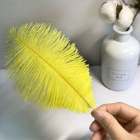 Usine Outlet Best-seller Artisanat 100% Plume 15-20cm Plumes d'autruche à tige fine pour la décoration et les fournitures de mariage