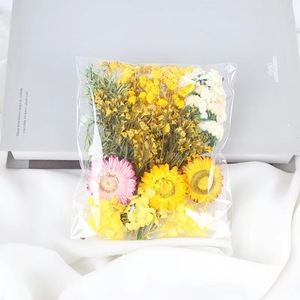Flores Secas al Por Mayor a Precio Económico, <span class=keywords><strong>Hortensias</strong></span> Secas Naturales para Decoración de Pasteles - Product Image 5