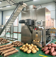 Grote continue stoomschilmachine, multifunctionele fruit- en groenteschiller, compatibel met was-, snij- en productielijn