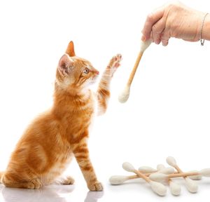 Jouets pour chats, lot de 6 |   Jouet à mâcher durable au design mignon |   Herbe à chat biologique pour soulager l'anxiété et favoriser <span class=keywords><strong>la</strong></span> digestion |   Idée cadeau - Product Image 3