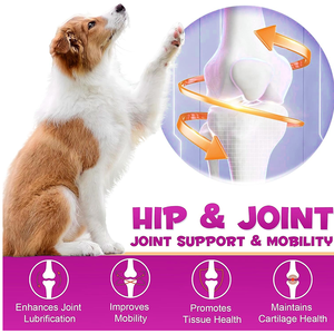 Gouttes de soutien articulaire pour chien Glucosamine MSM Chondroïtine-Soutient le cartilage de la hanche Santé Mobilité Immunitaire Vitamine Soutien Saveur de canard - Product Image 3
