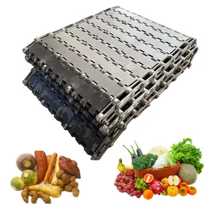 Factory Customized SS2205 Accurate Stable bulk material fruit vegetable seafood chain plate