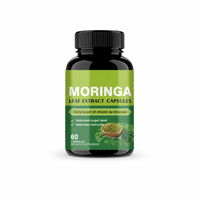 Capsules d'extrait de feuilles de Moringa en gros – Approvisionnement en vrac – Superaliment Moringa Oleifera – Complément de soutien immunitaire pour le bien-être des adultes