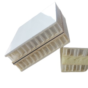 Panneau sandwich en PRF à noyau de conception industrielle personnalisé avec isolation <span class=keywords><strong>thermique</strong></span> à noyau XPS/PP pour panneaux muraux de <span class=keywords><strong>voiture</strong></span> de réfrigérateur - Product Image 5